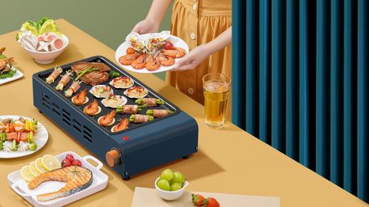 先锋 DKJ-J01电烤架 商品图0