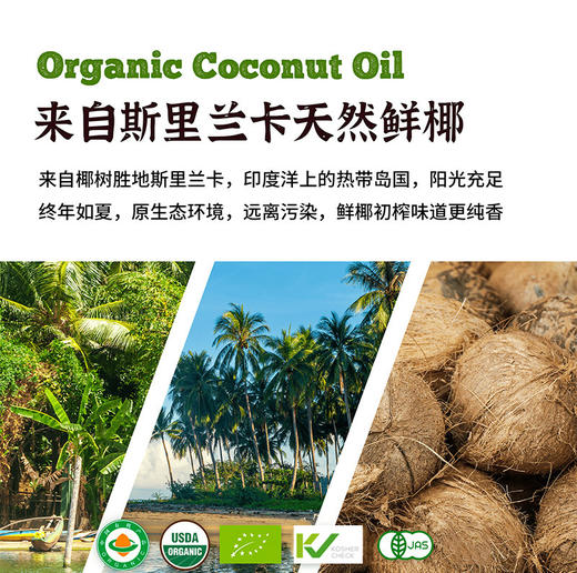 有机初榨椰子油|斯里兰卡进口物理冷榨头道生酮月桂酸油洗护两用 商品图1