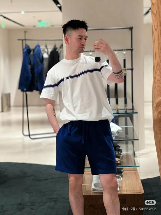 现货 巴宝莉BUR胸口战马刺绣条纹圆领短袖T 半环身印花 商品图2