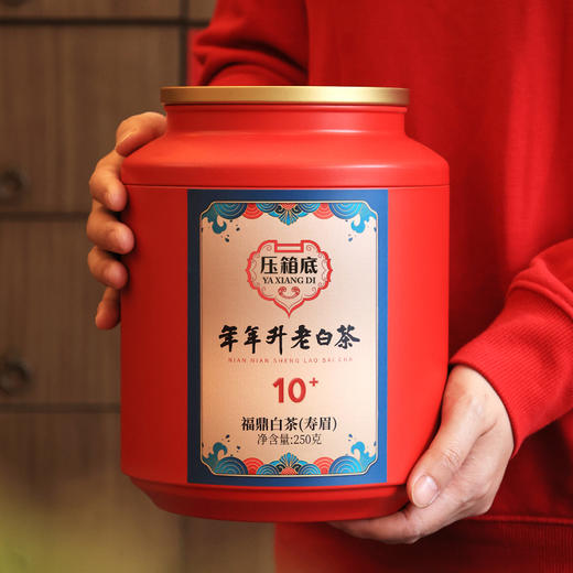 压箱底 年年升老白茶 10+ 福鼎寿眉 陈年老白茶罐装散茶 250克/罐 商品图2