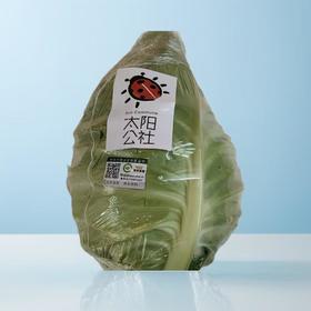 太阳公社有机甘蓝 500g/份