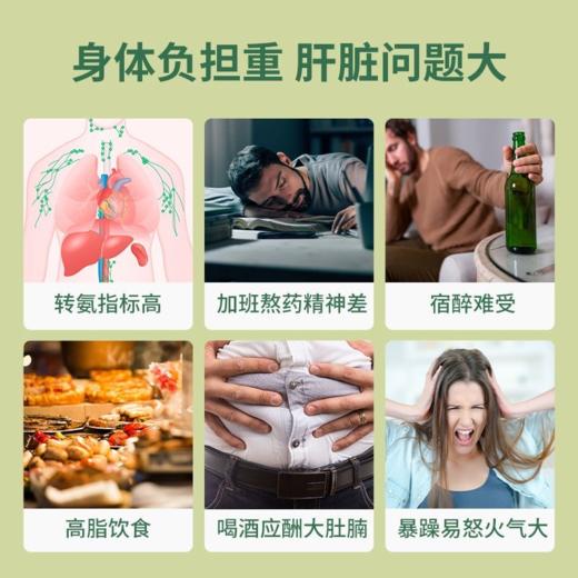 姜黄素胆碱二氢杨梅素奶蓟草转氨酶肝片原装进口胶囊60粒 NATURESPAN倍能适 商品图5