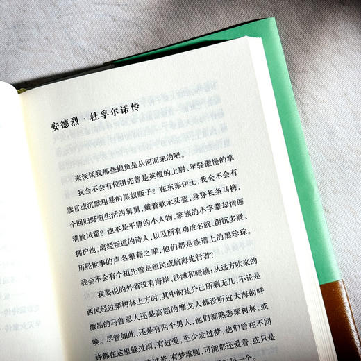 微渺人生 传记式虚构系列 皮埃尔·米雄成名作 法国文学 六点图书 商品图7