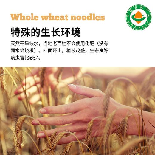 有机全麦面条500g/包|全程有机麦香味浓含麦麸 商品图2