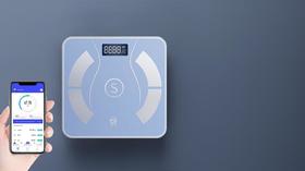 扬子 JS-2629体脂秤(蓝色)