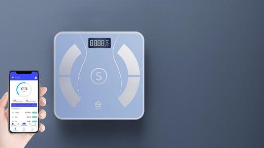 扬子 JS-2629体脂秤(蓝色) 商品图0