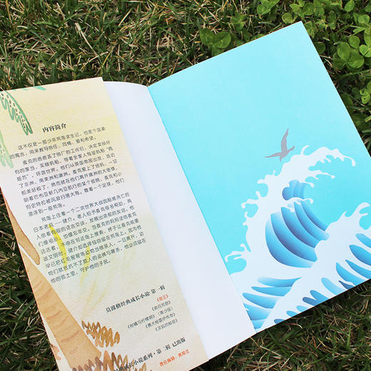 岛王：一段传奇的友谊！冒险小说 。梅子涵、语文报小学版主编、北京四中语文高级教师倾情推荐。 商品图9