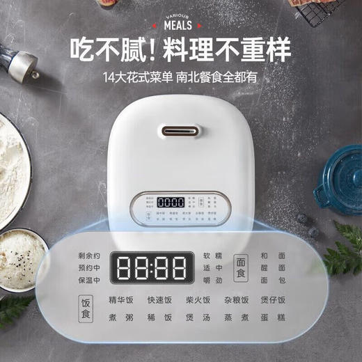Morphy Richards摩飞3-4人家用小型智能电饭煲MR8500  3L 商品图7