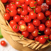 生态小樱桃 | 合作生产*Ecological cherry | Partner Production 商品缩略图2