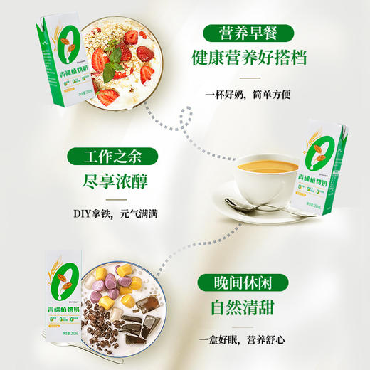【百万家庭专享】西藏 奇正健康 青稞植物奶 200ml*10盒/提 商品图3