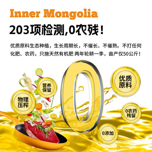 智谷·内蒙古初榨亚麻籽油物理冷榨头道食用油拌酸奶沙拉1L 商品图4