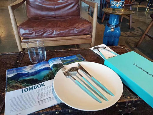 外贸原单蒂芙尼Tiffany进口不锈钢5件套高档餐具刀叉西餐礼盒蒂芙尼的设计，已经把爱表现的极致!! 商品图4