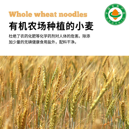 有机全麦面条500g/包|全程有机麦香味浓含麦麸 商品图4