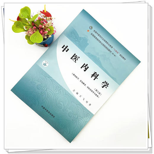 中医内科学 第3三版 十四五规划教材全国高等医药职业院校规划教材(第六版) 王飞 刘菁主编 供中医学针灸推拿中医骨伤学等专业用 商品图2