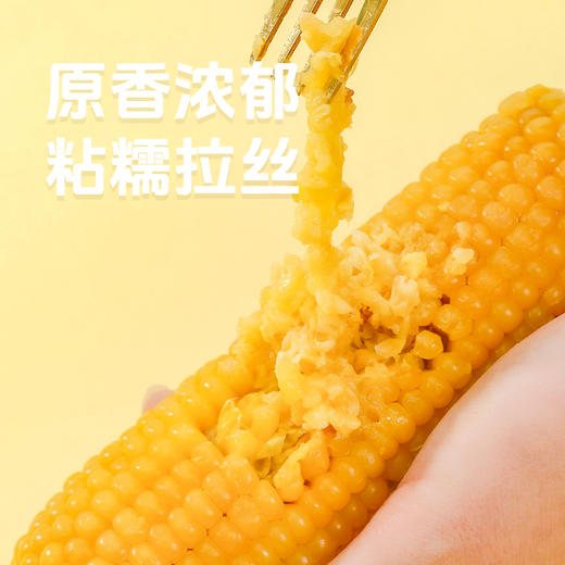 【10支35元购】东北金箔黄玉米丨口感香甜软糯 颗粒饱满 商品图2
