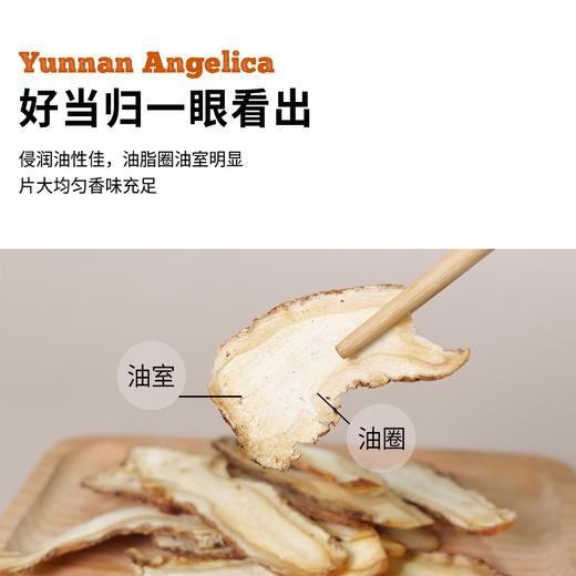 云南当归头片135g|原色无硫油室自然煲汤煮茶 商品图3