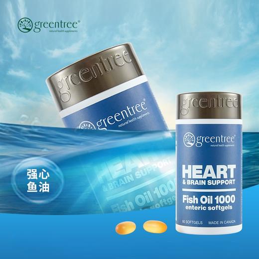 【香港直邮】维持心脏健康血管弹性 正品 加拿大greentree强心鱼油 商品图2