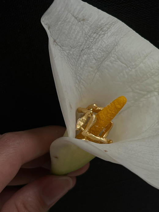 LS｜La vena Ring 交叉V戒指 [ 金 / 银 ] 【Celestial】 商品图4