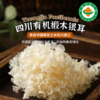 四川通江有机椴木银耳 小朵易泡发出胶 40g/罐 商品缩略图1