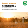 【有机胚芽米】1KG/袋|内蒙古产区全程可溯源谷物精华大米饭 商品缩略图4