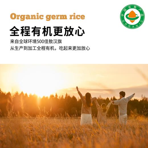 【有机胚芽米】1KG/袋|内蒙古产区全程可溯源谷物精华大米饭 商品图4