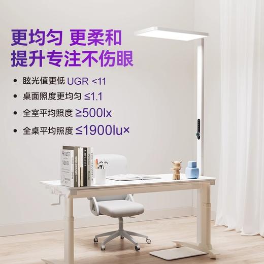 【优惠换购】LUUGAA鹿家良品爱因精灵护眼大路灯 商品图3