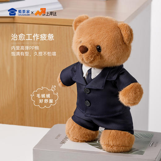 【实付满199送钥匙扣】【单位小熊】可定制创意毛绒职业小熊公仔儿童玩具服装可脱送礼礼物 商品图5