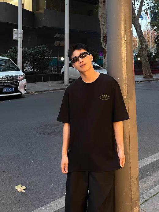 现货 PLD走秀系列蛇年限定款短袖  胸口刺绣蛇纹字母logo图案 商品图5