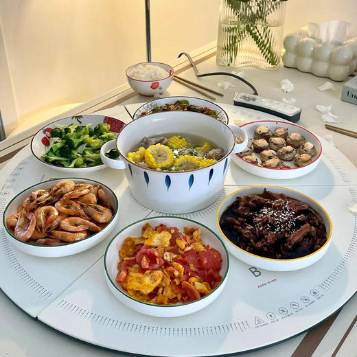 Morphy Richards摩飞圆形折叠暖菜板MR8306 商品图2