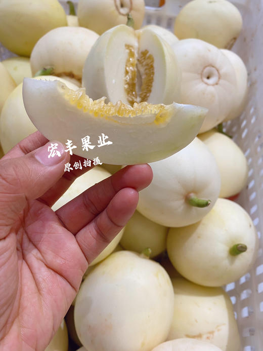 宏丰精选  本地梨瓜   口感脆甜  活动价5.8元一斤 商品图7