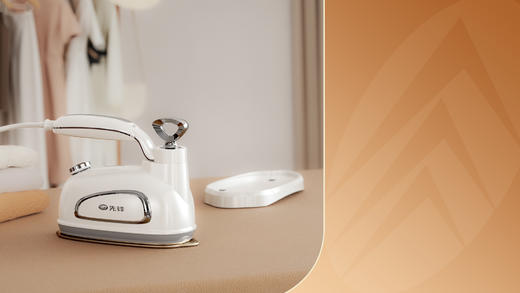 先锋 DYD-Y02手持式蒸汽电熨斗 商品图0