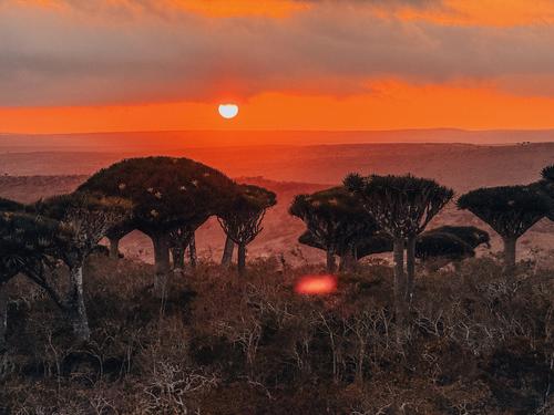 小地球索科特拉岛9天8晚 商品图1