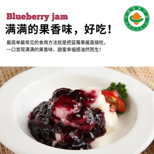 蓝莓山|有机蓝莓酱200克早餐涂抹面包沙拉拌酸奶有机认证蓝莓酱 商品图2