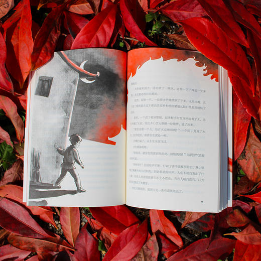 【独秀书香卡】魔法象·故事森林  唢呐上的红飘带 8~14岁及以上 儿童小说 儿童文学 商品图4