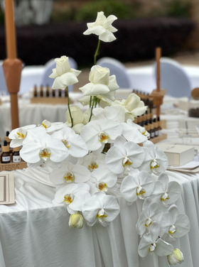 【婚礼沙龙】怎么能少得了雪山呢