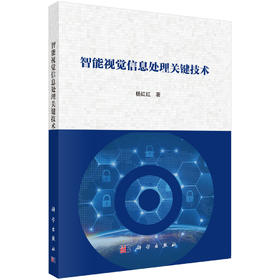 智能视觉信息处理关键技术