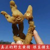 野生鸡头黄精  //  58元一斤包邮  //  明月 商品缩略图3