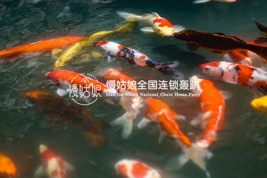 杭州慢姑娘依山有墅轰趴馆 商品图9