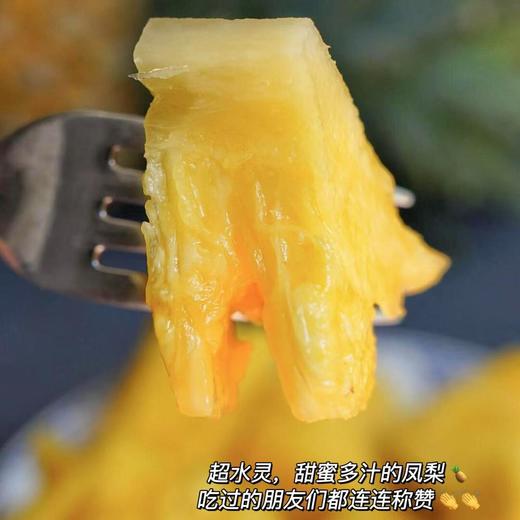 【芒果凤梨】真正树上熟的凤梨,一口咬下去，嘴里就被果肉和果汁填满90%的可食用率,它历经600多天才成熟!吃起来是凤梨界望尘莫及的19度+高甜! 商品图5