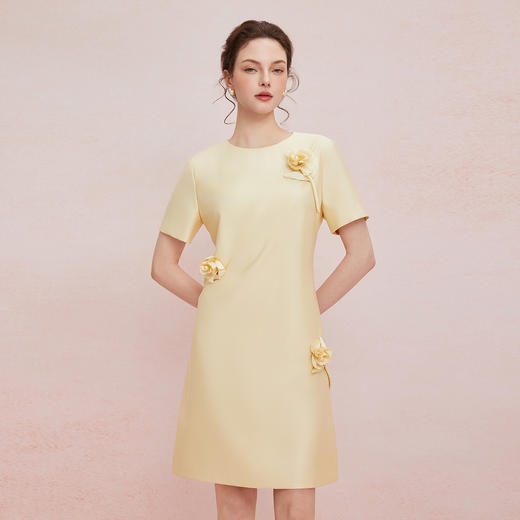 QF860斯尔丽2025夏季新款立体盘花直身显瘦圆领宴会小礼服连衣裙 商品图5