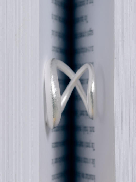 LS｜Eternal Ring 日月环戒指 [ 金 / 银 ] 【Botanicalia 】 商品图7