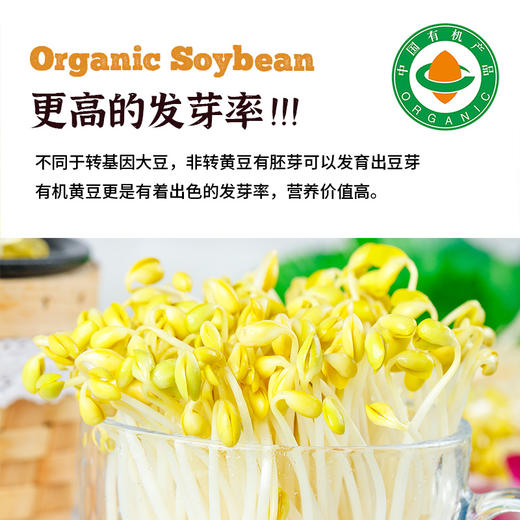 凤禾鸣·有机黄豆2斤真空装|内蒙古香浓豆浆农家大豆豆浆饮品 商品图3