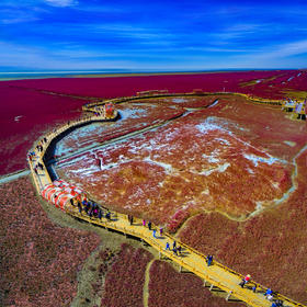 航拍中国： 盘锦红海滩潮汐树+辽阳尾矿湖神奇色彩+内蒙奈曼旗沙漠航拍训练营6天