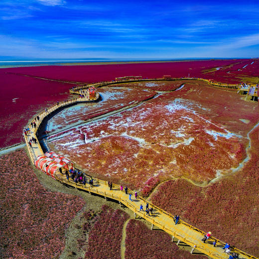 航拍中国： 盘锦红海滩潮汐树+辽阳尾矿湖神奇色彩+内蒙奈曼旗沙漠航拍训练营6天 商品图0