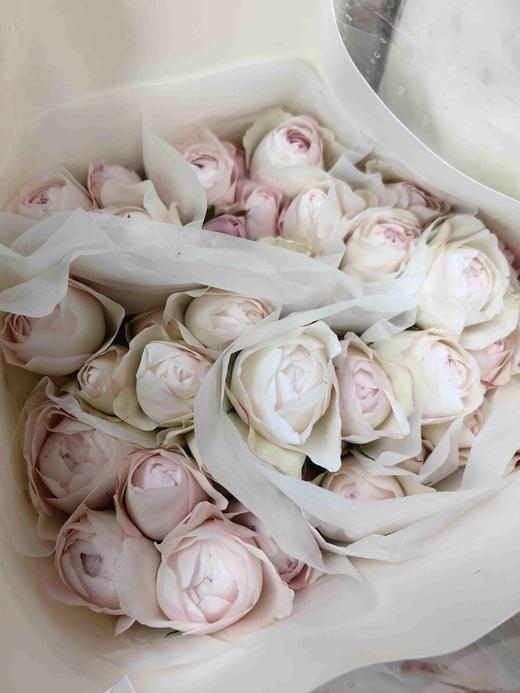 多头玫瑰花草莓杏仁饼10支 商品图2