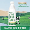 2瓶 圣牧有机鲜牛奶1KG*2瓶 A-4561 商品缩略图1