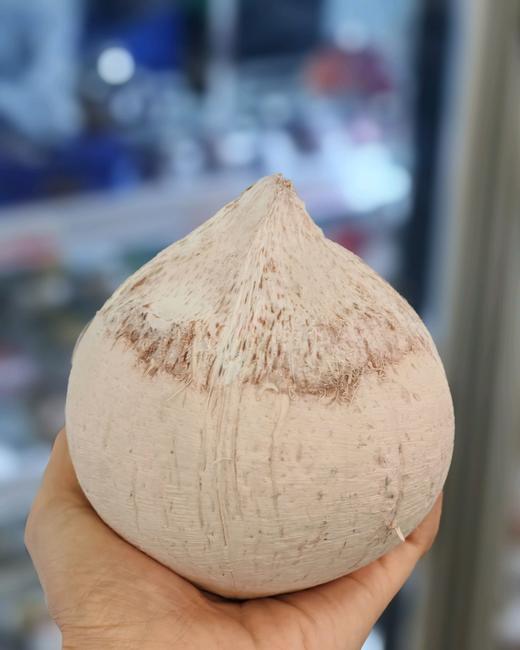 功夫椰皇 （个） 商品图0