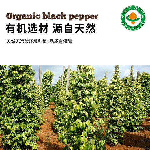 凤禾鸣有机黑胡椒70g|研磨款云南胡椒粒现磨厨房调味干货香辛料 商品图3