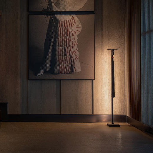 摩根黑琥珀系列灯带落地灯 商品图3