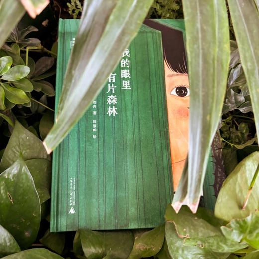 神秘岛  我的眼里有片森林   刘奔 著  薛紫琼 绘  荣获2021BIBF菠萝圈儿国际插画奖“中国原创奖” 商品图8